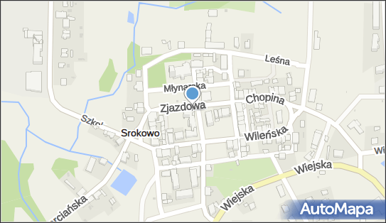 7421957704, Srokowskie Stowarzyszenie Sukces Każdego Dziecka 