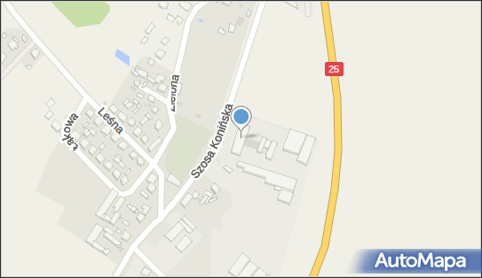 6181609853, Stacja Obsługi Samochodów, Wynajem Lokali Użytkowych i Mieszkalnych - Kazimierz Tomczyk 