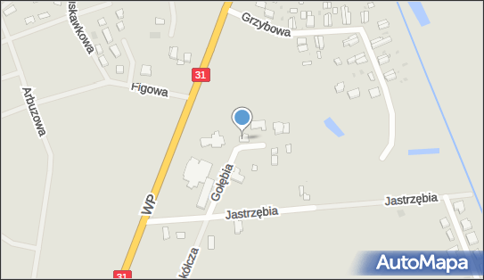 Standolack Biały Tomasz Waldemar, Gołębia 5, Słubice 69-100 - Przedsiębiorstwo, Firma, NIP: 5981213470
