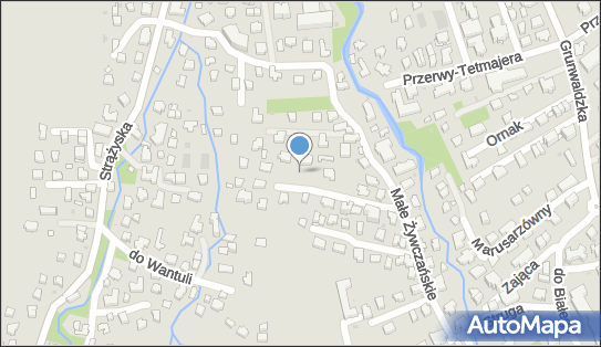 7361041685, Wizyty Lekarskie Stanisław Orzechowski 