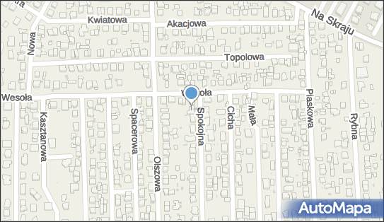 Stanmet, ul. Spokojna 2, Rybie 05-090 - Przedsiębiorstwo, Firma, NIP: 5221715007