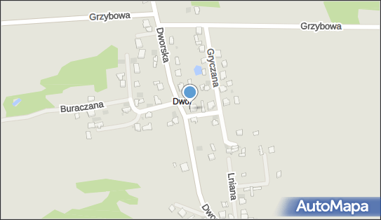 Starczewska Skwara Ewa, Dworska 82, Myszków 42-300 - Przedsiębiorstwo, Firma, NIP: 5771046913