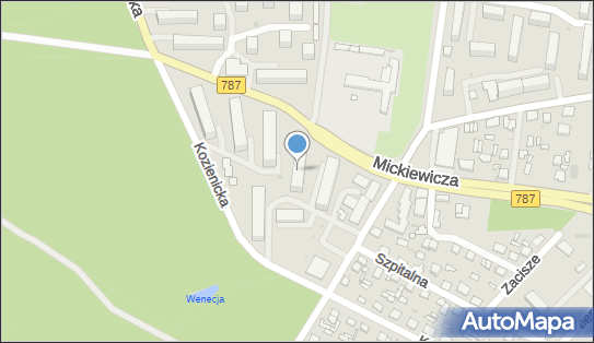 Stattest Statistical Consulting, Kozienicka 30, Pionki 26-670 - Przedsiębiorstwo, Firma