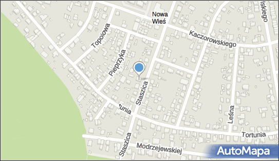 Stefan Szpryngiel - Działalność Gospodarcza, Swarzędz 62-020 - Przedsiębiorstwo, Firma, NIP: 7771840977