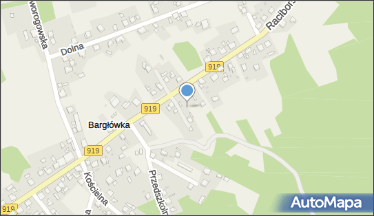 Stelmach Eryka Szkółkarska Uprawa Roślin Ozdobnych, Bargłówka 44-153 - Przedsiębiorstwo, Firma, NIP: 9691003329