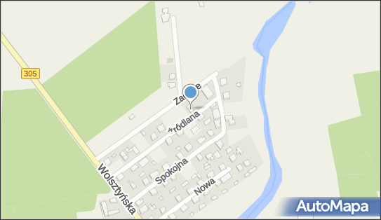 6981399133, Stig Przemysław Skrzypczak 