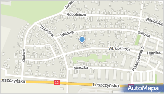 6960003934, Stolarstwo Galanteria w Drewnie Leszek Kaczmarek 