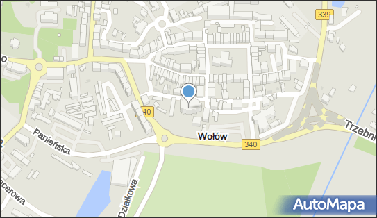 Stow.Kamerton, Wołów, ul. ks. Franciszka Bosaka 21, Wołów 56-100 - Przedsiębiorstwo, Firma, numer telefonu, NIP: 9880228532