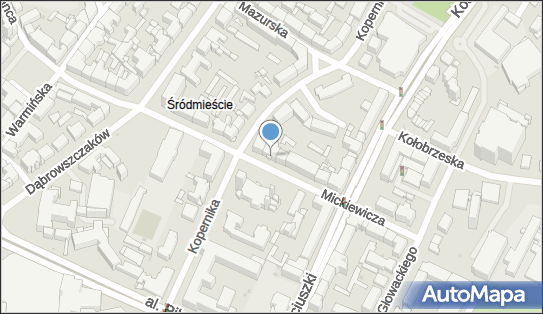 Stowarzyszenie Alegrija, ul. Adama Mickiewicza 17, Olsztyn 10-508 - Przedsiębiorstwo, Firma, numer telefonu, NIP: 7393731772
