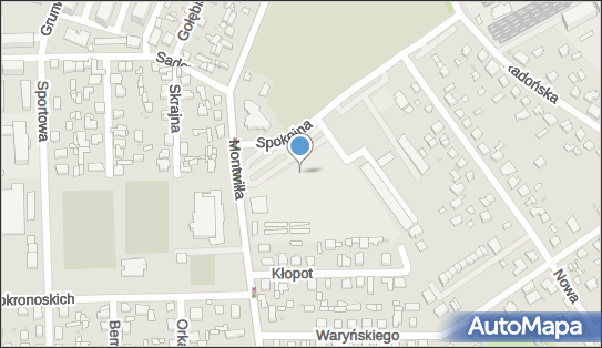 5291613803, Stowarzyszenie 