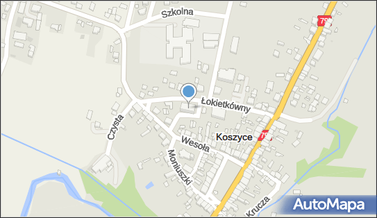 6821768231, Stowarzyszenie Inicjatyw Gospodarczych Na Rzecz Rozwoju Gminy Koszyce 