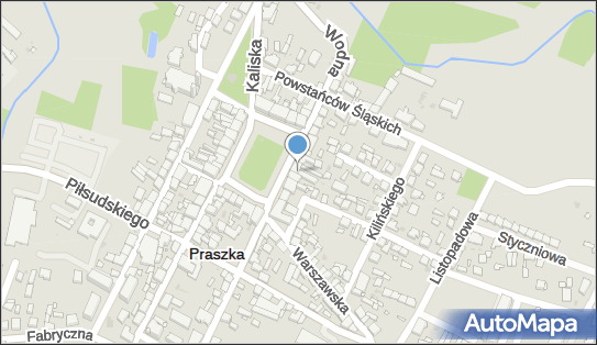 Stowarzyszenie Inicjatywa Wobec Zagrożeń Nepsis, Praszka 46-320 - Przedsiębiorstwo, Firma, numer telefonu, NIP: 5761525345