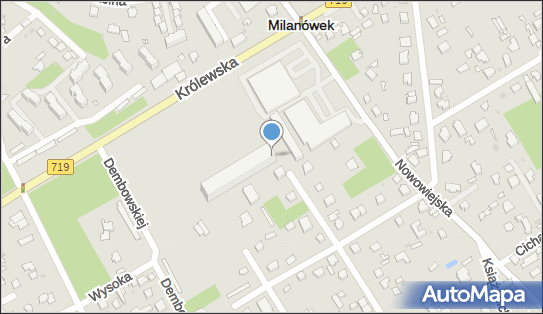 Stowarzyszenie Konserwatorów Czasu w Milanówku, Milanówek 05-822 - Przedsiębiorstwo, Firma, numer telefonu, NIP: 5291774529
