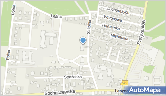 1181825695, Stowarzyszenie Lokomotywa-Leszno 