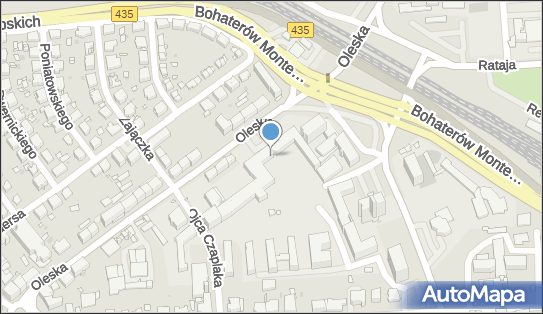 Stowarzyszenie Na Rzecz Rozwoju Uniwersytetu Opolskiego, Oleska 48 45-052 - Przedsiębiorstwo, Firma