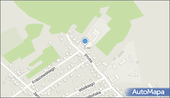 Stowarzyszenie Osiedlowe Podlas Myszków, ul. Prusa 82, Myszków 42-300 - Przedsiębiorstwo, Firma, numer telefonu, NIP: 5771870581