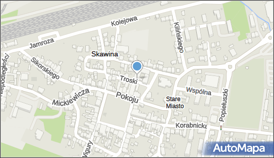9442055818, Stowarzyszenie Pomocy Osobom Niepełnosprawnym i Ich Rodzinom - 