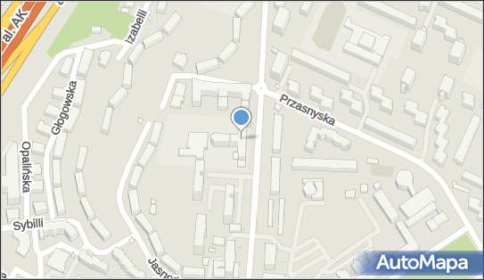 141221559, Stowarzyszenie Przyjaciół Liceum im.Witkacego-