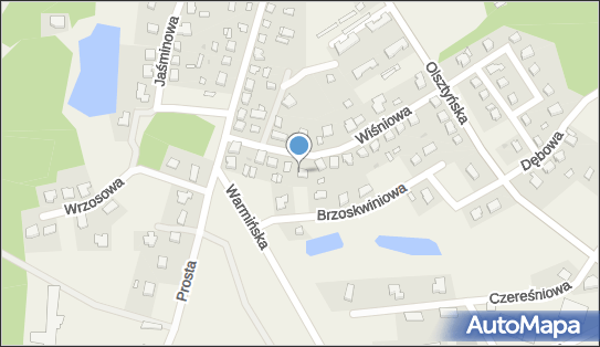 Stowarzyszenie Przyjaciół Stawigudy, Wiśniowa 17, Stawiguda 11-034 - Przedsiębiorstwo, Firma, numer telefonu