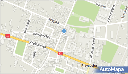 7991882245, Stowarzyszenie Przysuskich Inicjatyw Gospodarczych w Przysusze 
