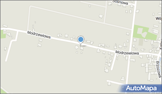 Stowarzyszenie Rozwoju Wsi Wójcice, Wójcice 167, Wójcice 48-385 - Przedsiębiorstwo, Firma, numer telefonu