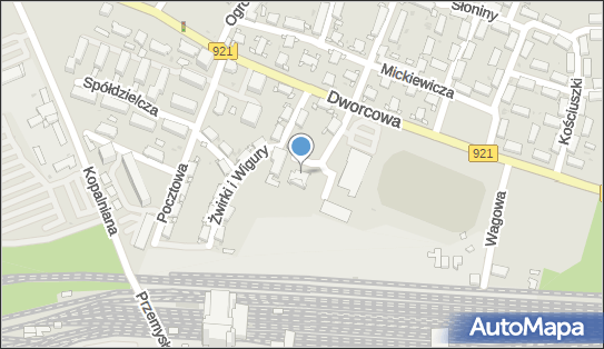 9691437996, Stowarzyszenie Sportowo-Rekreacyjne Akademia Piłki Nożnej 