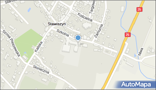 9680972852, Stowarzyszenie Stawiszyn-Moje Miasto Moja Gmina 