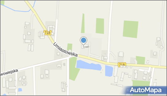 1181565550, Stowarzyszenie Wspierania Rozwoju i Edukacji Dzieci Wiejskich przy Szkole Podstawowej im.A.Mickiewicza w Umiastowie 