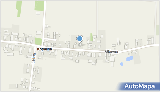 Strzelec Piotr Kozłowski, Główna 45A, Kopalina 55-220 - Przedsiębiorstwo, Firma, NIP: 9121732770