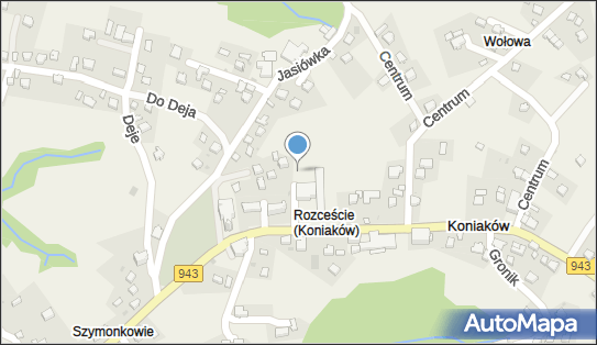 Studio Florystyczne Michał Ligocki, Koniaków 205, Koniaków 43-474 - Przedsiębiorstwo, Firma, NIP: 5482628833