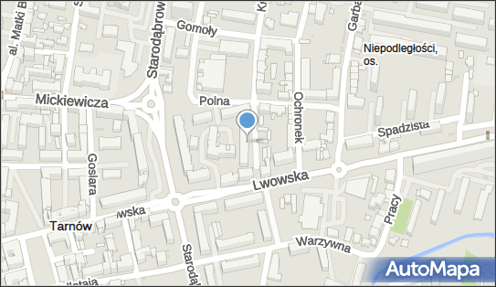 9930026837, Studio Fryzur Król Wioletta 