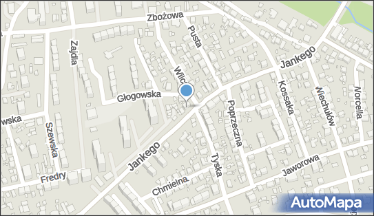 Studio Fryzur Tuberoza, ul. gen. Zygmunta Waltera Jankego 106 40-613 - Przedsiębiorstwo, Firma, NIP: 6462365472