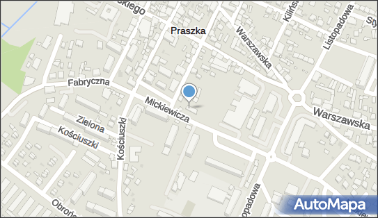 Studio Fryzur, ul. Mickiewicza 3, Praszka 46-320 - Przedsiębiorstwo, Firma, NIP: 5761345979