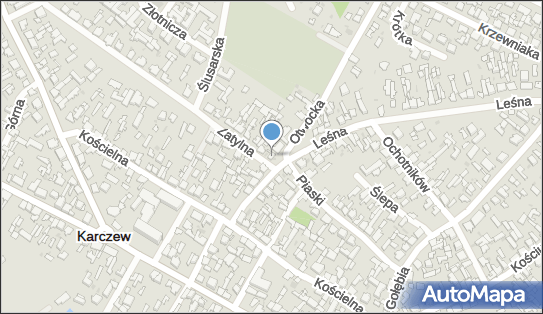 5321275921, Studio Graficzne Leokadia Grzywacz 