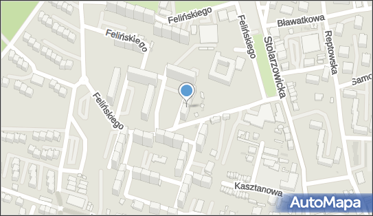 Studio Kosmetyczne Anna Anna Dulska, ul. Alojzego Felińskiego 4 41-908 - Przedsiębiorstwo, Firma, NIP: 6261566761