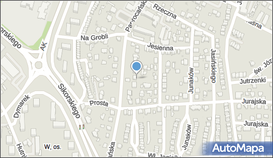 240429160, Taxi 113 Henryk Seweryn 