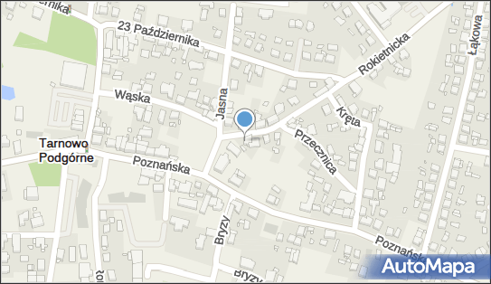 Studio Kosmetyki Naturalnej Dagmara Stępień, Rokietnicka 4 62-080 - Przedsiębiorstwo, Firma, NIP: 7771509840