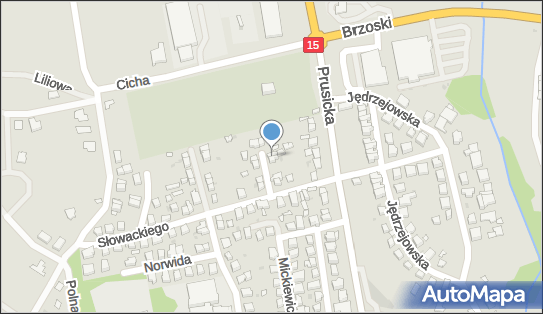 Studio Projektu i Szycia Natia Anna Halewicz-Mamzer, Krótka 8 55-100 - Przedsiębiorstwo, Firma, NIP: 9151293996