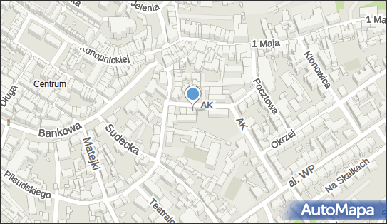 Studio Tatuażu Artystycznego Szpila Adam Nalepka 58-500 - Przedsiębiorstwo, Firma, NIP: 6141331512