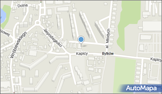 Studio Urody, ul. ks. Jana Kapicy 14C, Siemianowice Śląskie 41-106 - Przedsiębiorstwo, Firma, NIP: 6431444058