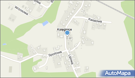 8951776589, Wang Zengyi Wandzi Sport 