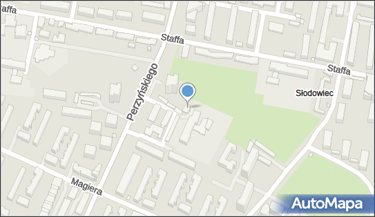 6291408860, Studium Doskonalenia Zdolności Poznawczych, Janus Iwona 