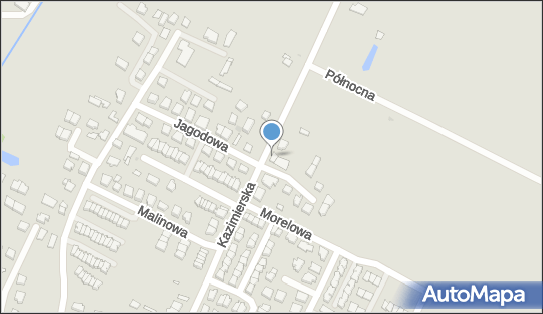 9580043395, Studium Szkolenia Specjalistycznego 'Teoria' Michalski Włodzimierz 