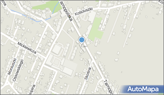Stylizacja i Wizaż, Tarnopolska 49, Zabrze 41-807 - Przedsiębiorstwo, Firma, NIP: 6481411960