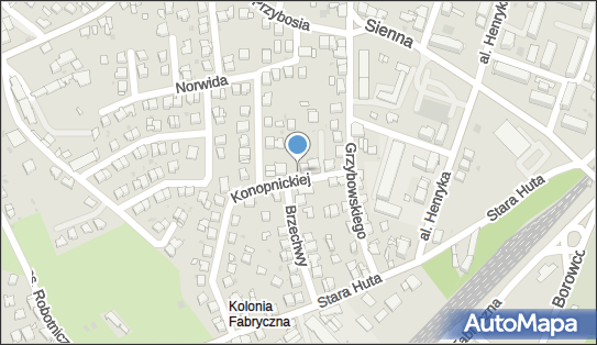 Sułkowska Specjalistyczna Praktyka Lekarska, ul. Konopnickiej 4 32-500 - Przedsiębiorstwo, Firma, NIP: 6281572931