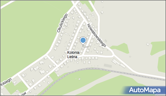 6281064850, Świadczenie Usług Kierowcy Roman Rechul 