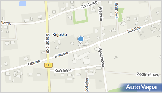 Syllvi Pracownia Rękodzieła Sylwia Trubko, Szkolna 5, Krępsko 72-113 - Przedsiębiorstwo, Firma, NIP: 8513015318