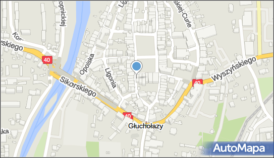 Sylwester Kmiecik - Działalność Gospodarcza, ul. Rynek 20 48-340 - Przedsiębiorstwo, Firma, NIP: 7531475099