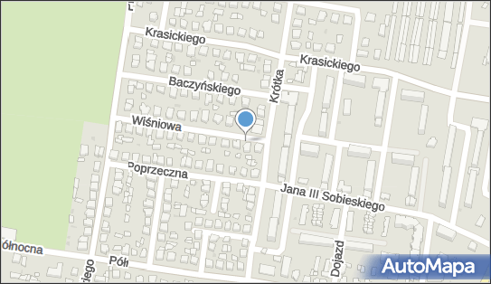 Sylwester Kubiak - Działalność Gospodarcza, ul. Wiśniowa 3 99-200 - Przedsiębiorstwo, Firma, NIP: 8281040276