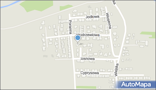 Sylwia Kaczmarzyk, Sosnowa 17, Siemianowice Śląskie 41-103 - Przedsiębiorstwo, Firma, NIP: 6431575694